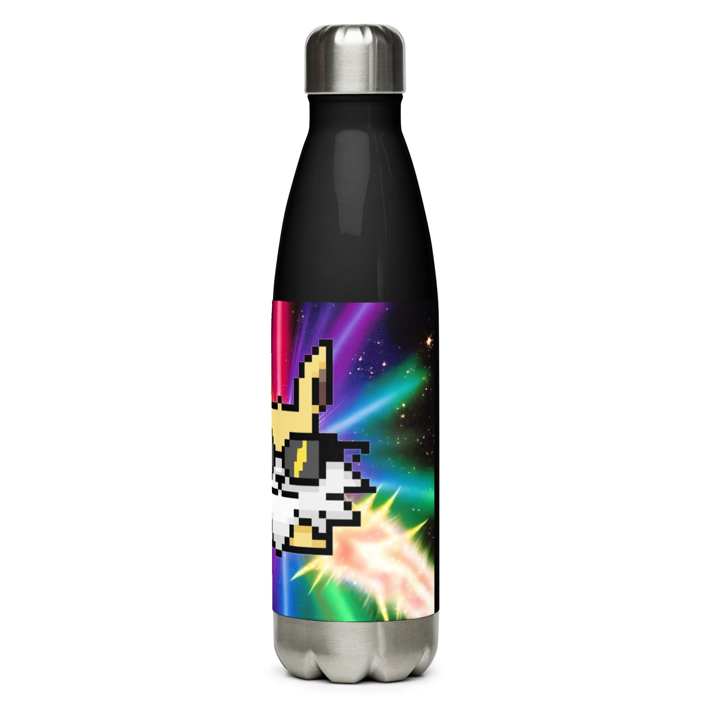 Stainless steel water bottle