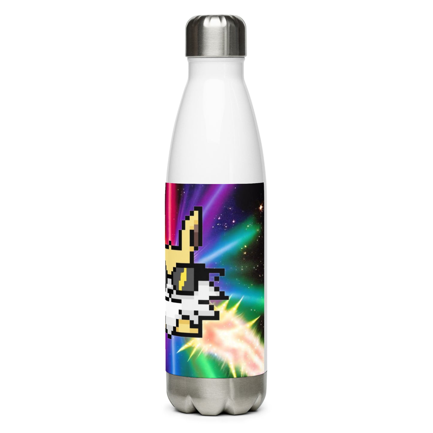 Stainless steel water bottle